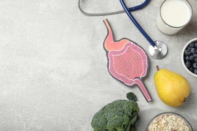 Photo of Paper gastrointestinal tract cutout, stethoscope and different organic products on light grey background, flat lay. Space for text