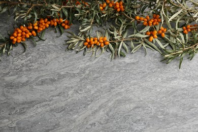 Branches of sea buckthorn on grey table, flat lay. Space for text