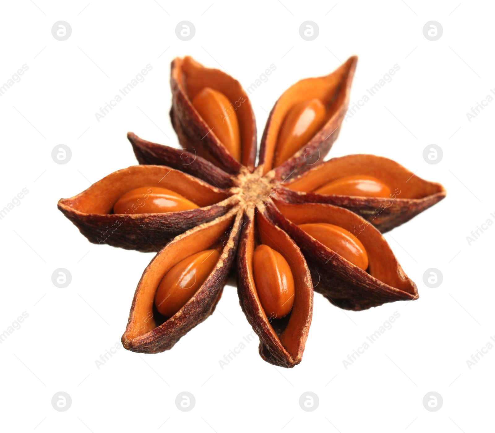 Photo of Dry anise star with seeds isolated on white