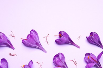 Photo of Beautiful Saffron crocus flowers on light violet background, flat lay. Space for text