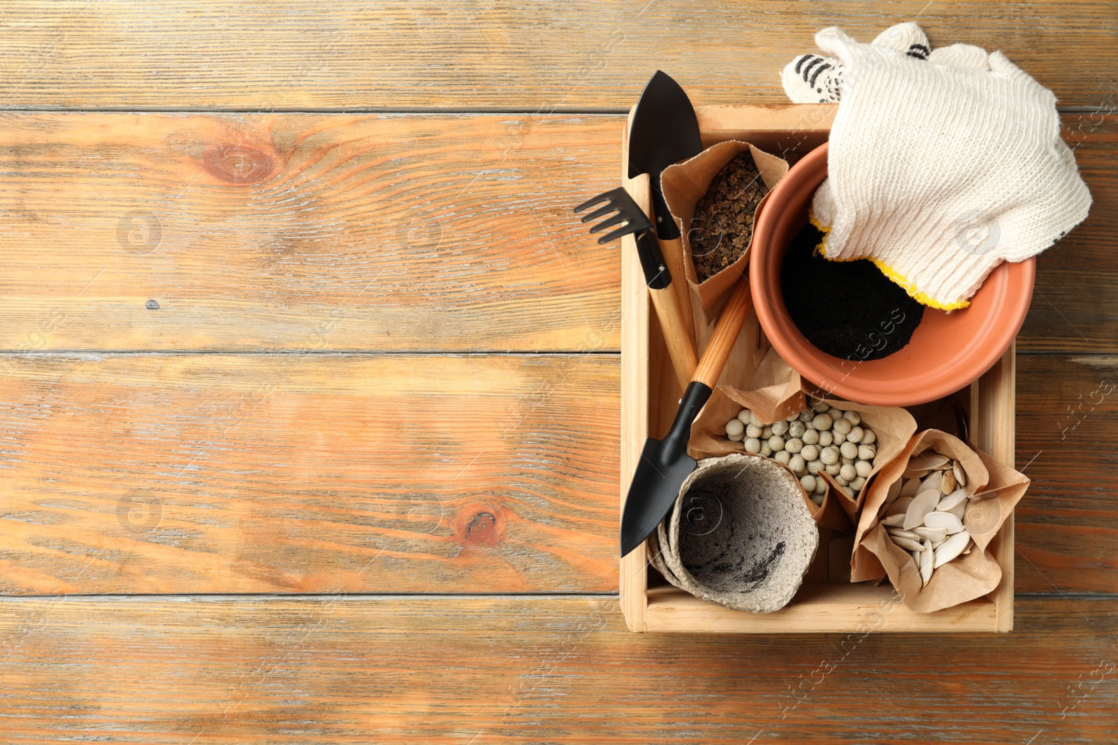 Photo of Wooden crate with different vegetable seeds and gardening tools on table, top view. Space for text