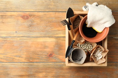 Wooden crate with different vegetable seeds and gardening tools on table, top view. Space for text