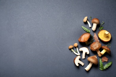 Photo of Flat lay composition with different mushrooms on grey background, space for text