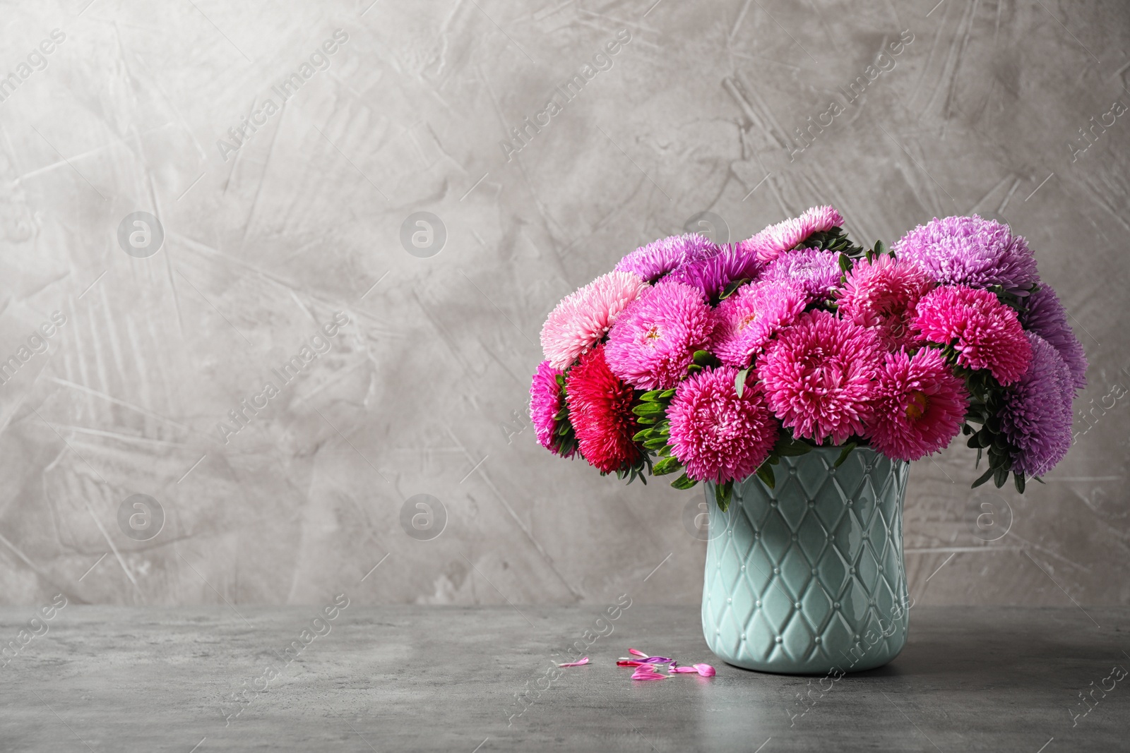 Photo of Vase with beautiful aster flowers on grey table against beige background. Space for text