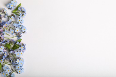 Beautiful forget-me-not flowers on white background, flat lay. Space for text