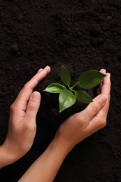 Photo of Woman protecting young seedling in soil, top view. Planting tree