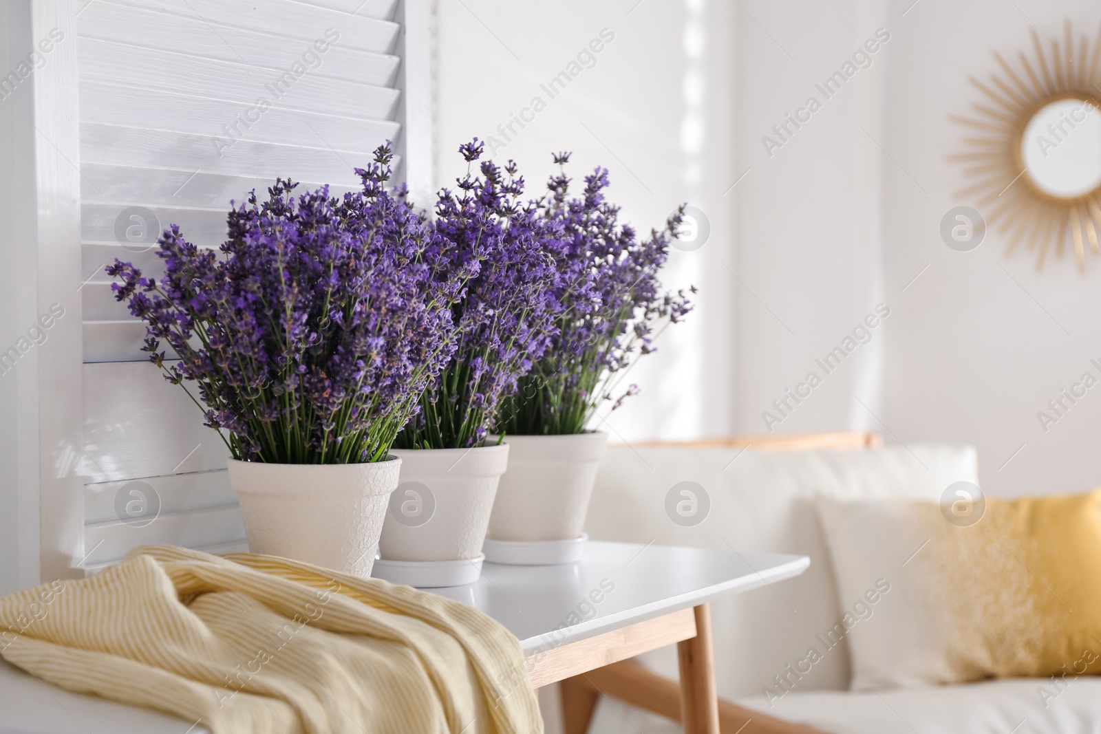 Photo of Beautiful lavender flowers and yellow shirt on white table indoors. Space for text