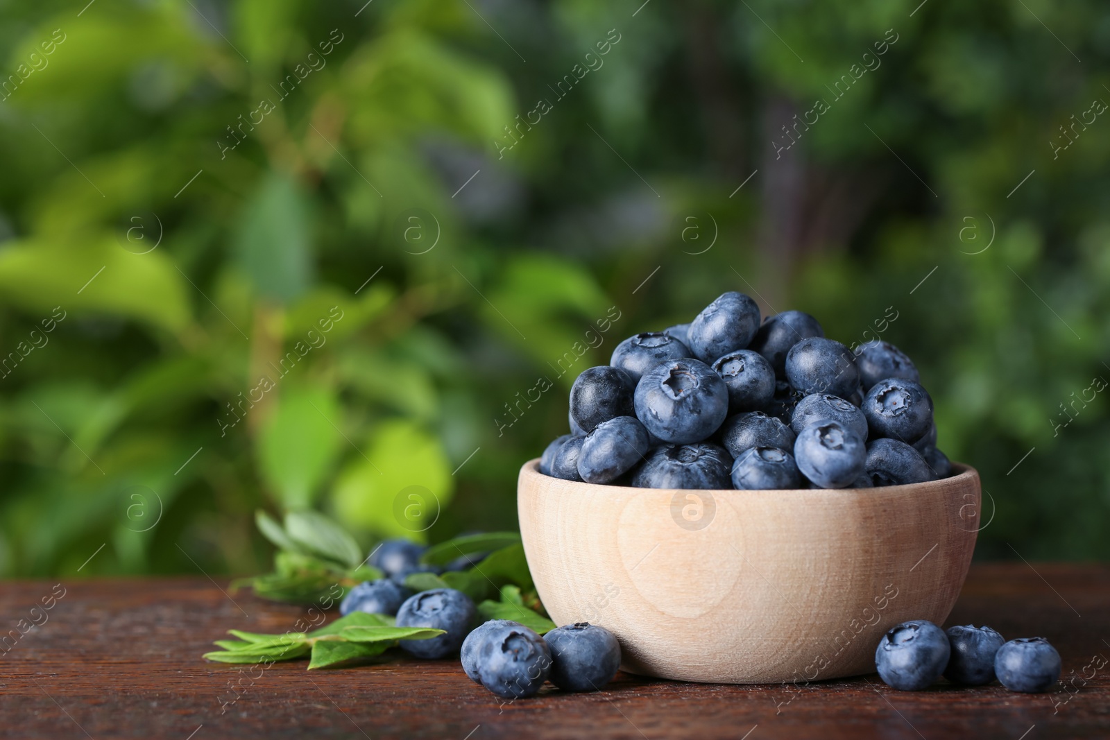 Photo of Tasty fresh blueberries and green leaves on wooden table outdoors, space for text