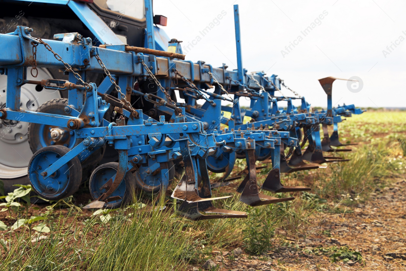 Photo of Tractor in field, closeup view. Agricultural industry