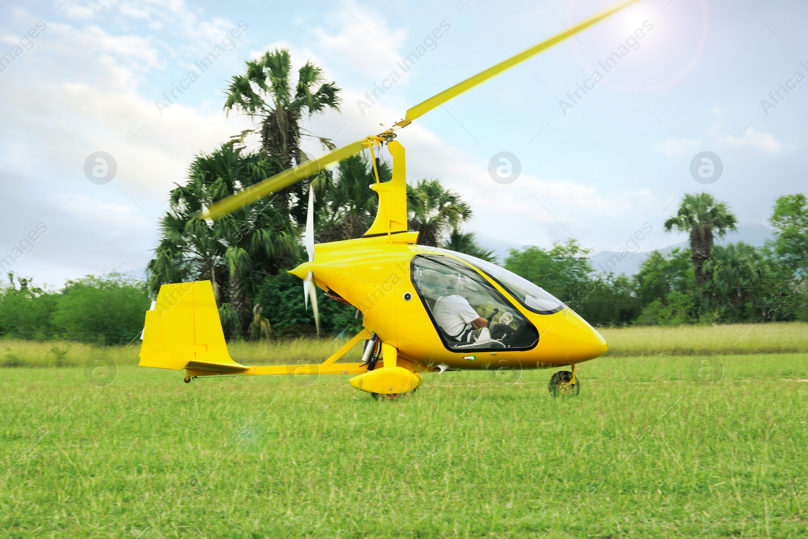 Photo of Yellow rotorcraft on grass near trees outdoors