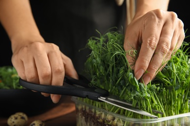 Photo of Woman cutting fresh organic microgreen at wooden table, closeup