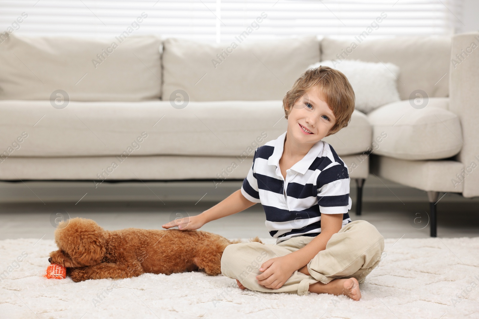 Photo of Little child and cute puppy on carpet at home. Lovely pet