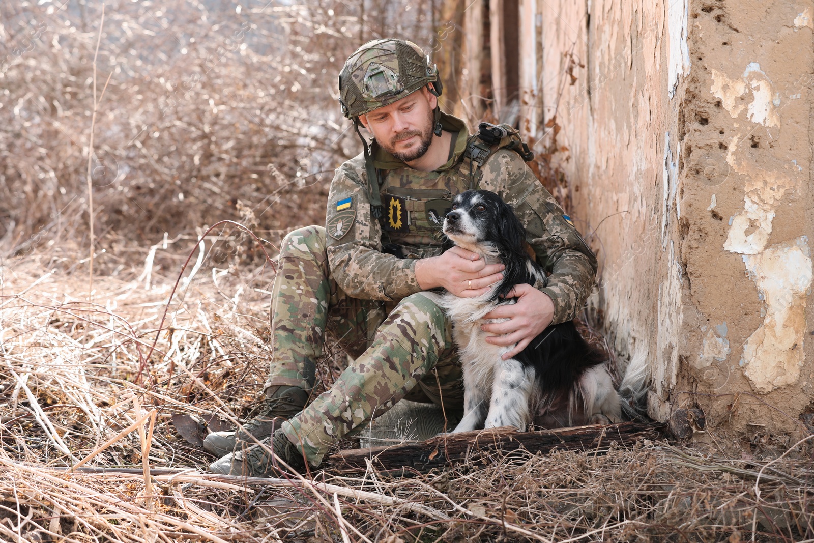 Photo of Ukrainian soldier with stray dog sitting outdoors