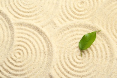 Photo of Zen rock garden. Circle patterns and green leaf on beige sand, top view
