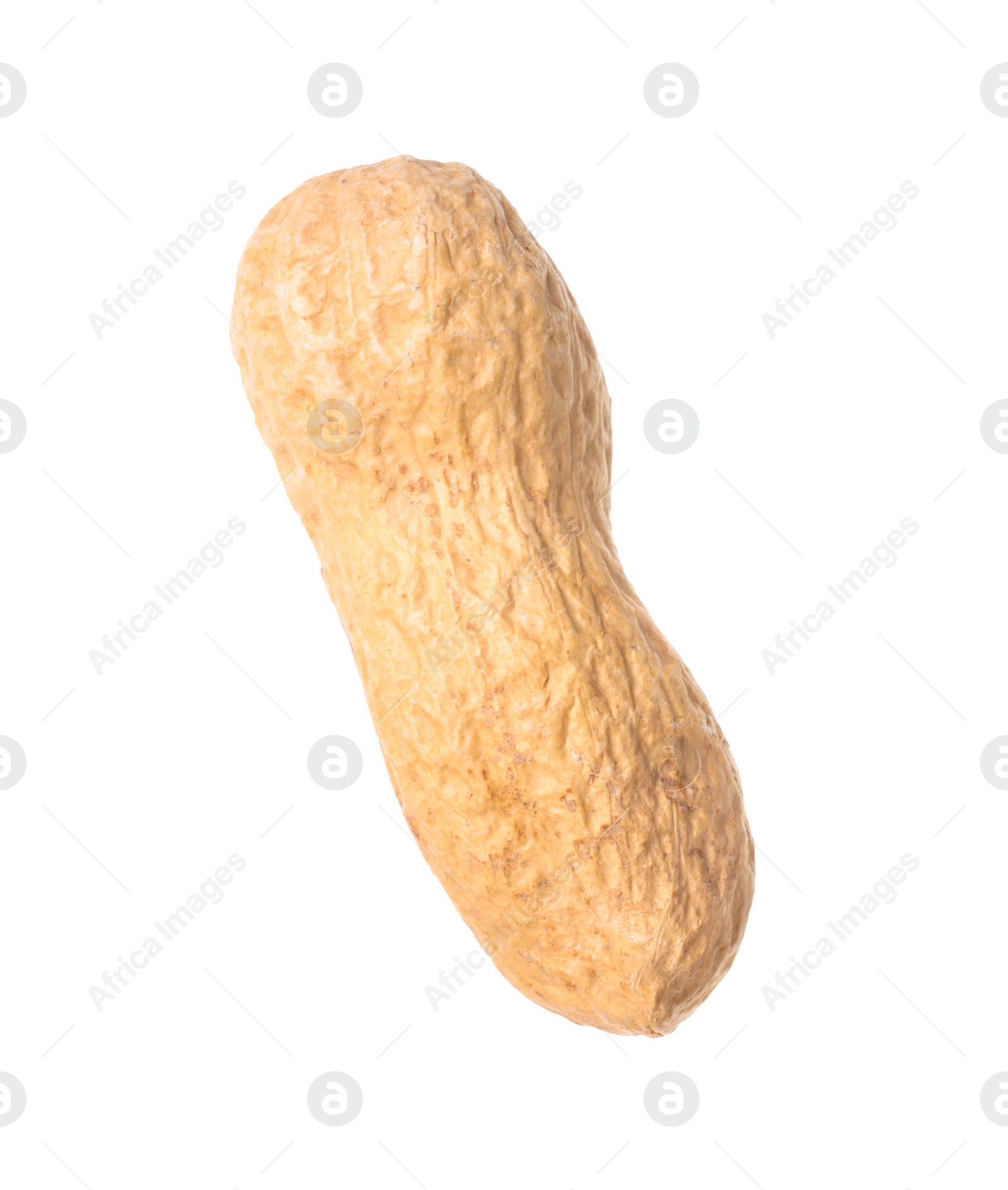 Photo of One fresh unpeeled peanut isolated on white