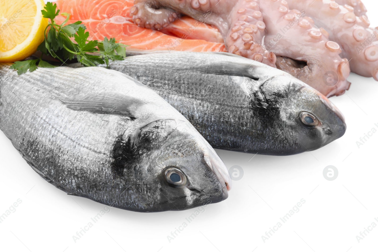 Photo of Fresh dorado fish, octopus and salmon on white background, closeup