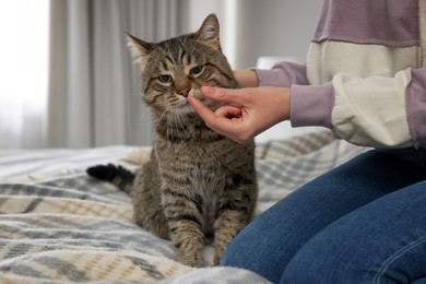 Photo of Woman giving pill to cute cat at home, closeup. Vitamins for animal