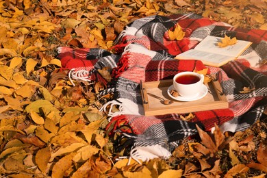 Photo of Plaid with wooden tray, cup of tea and book in park on sunny autumn day