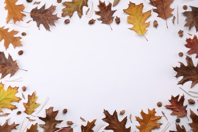 Photo of Frame of dry autumn leaves, cones and acorns on white background, flat lay. Space for text