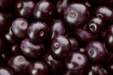 Fresh ripe acai berries as background, closeup