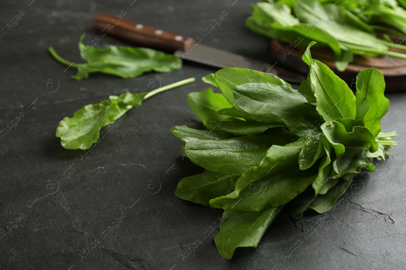 Photo of Fresh sorrel and knife on dark grey background