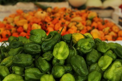 Photo of Heap of fresh Cascabel chili peppers on counter at market, closeup