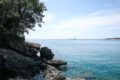Photo of Beautiful view of rocky sea coast on summer day