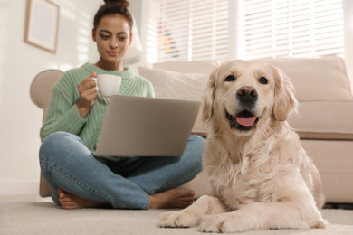 Young woman with laptop and her Golden Retriever at home. Adorable pet