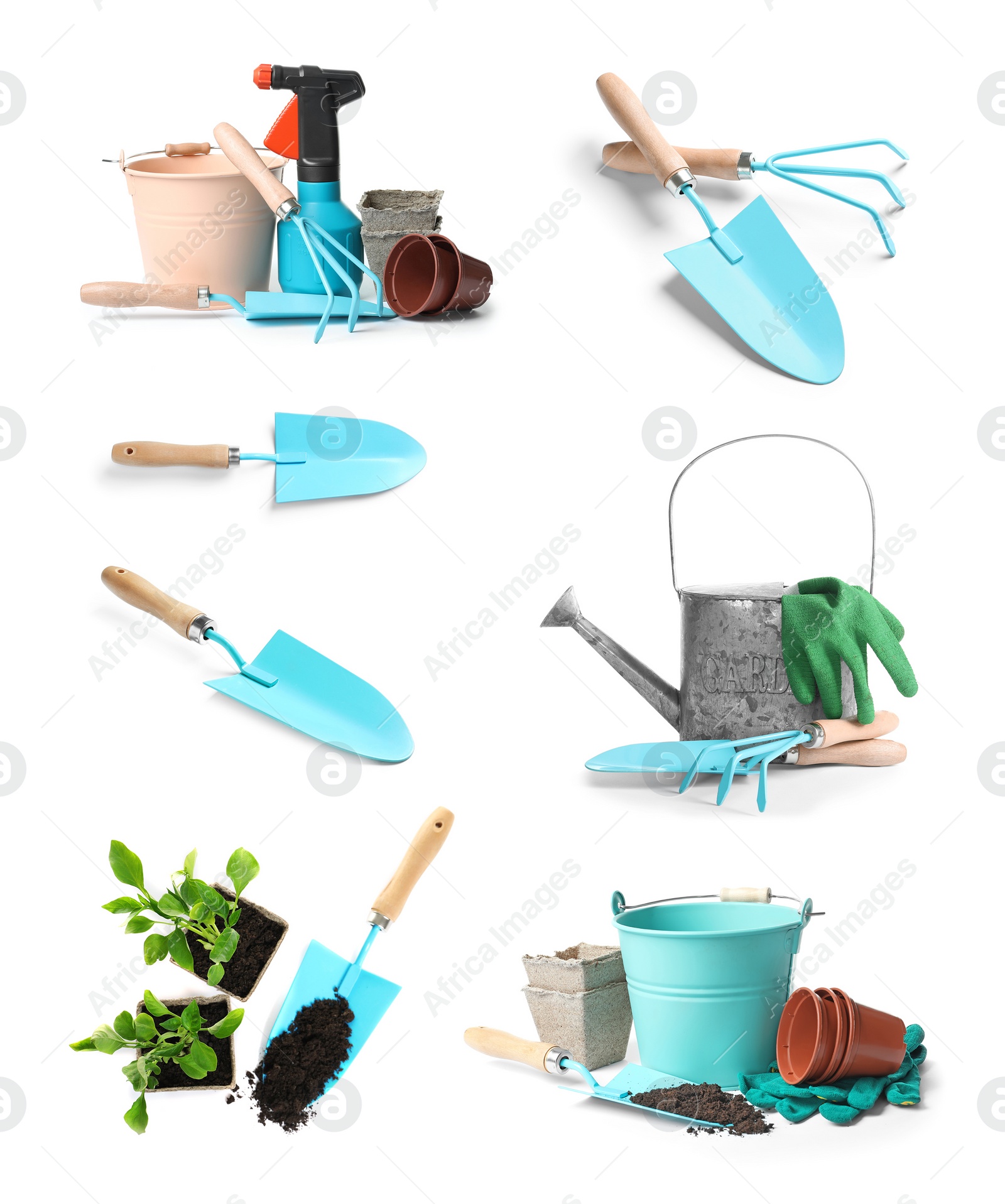 Image of Set of gardening tools and vegetable seedlings on white background