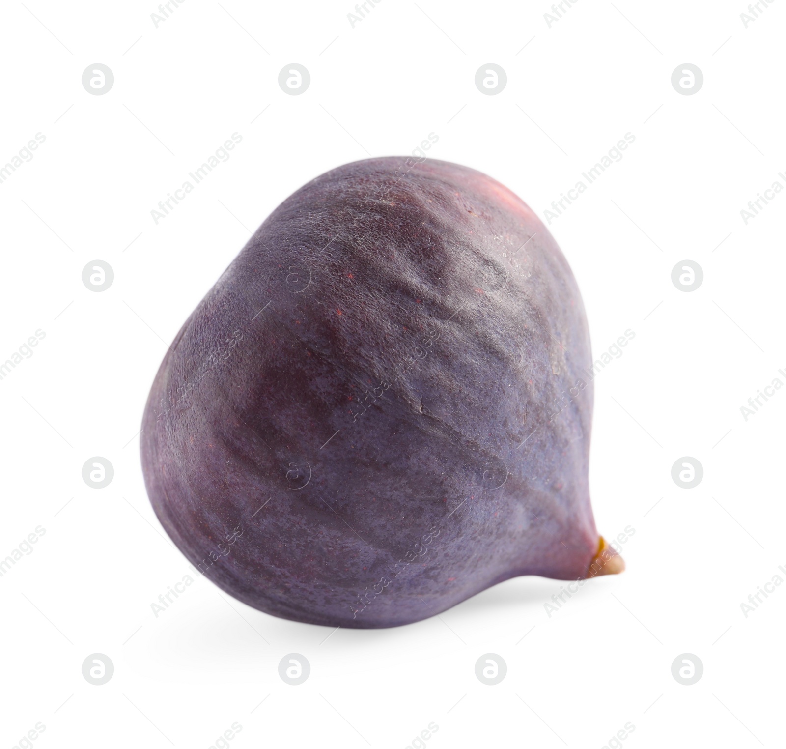 Photo of Whole ripe fresh fig isolated on white