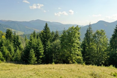 Beautiful view of mountains covered with green trees on sunny day