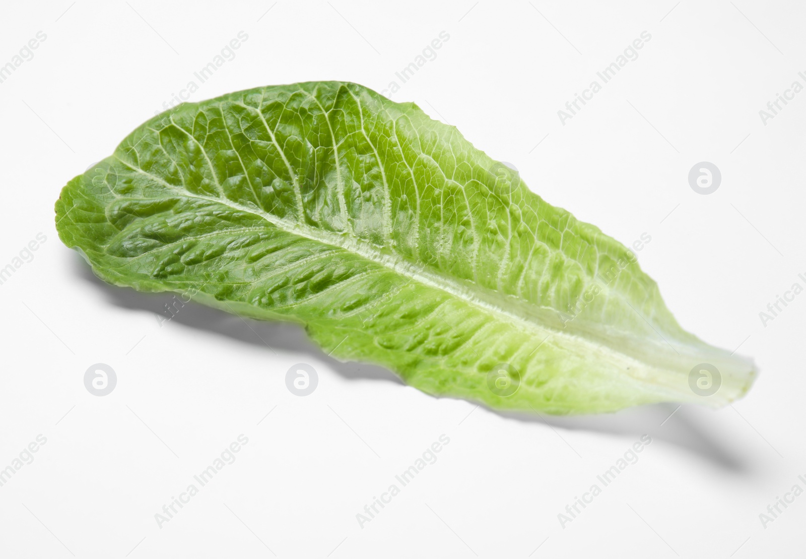 Photo of Leaf of fresh ripe cos lettuce on white background