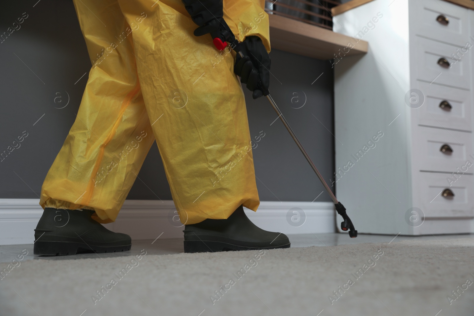 Photo of Pest control worker in protective suit spraying insecticide on floor at home, closeup