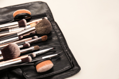 Set of professional brushes for makeup artist on white table, closeup. Space for text