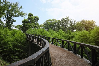 Picturesque view of bridge in beautiful green park