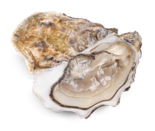 Photo of Fresh raw closed and open oysters on white background