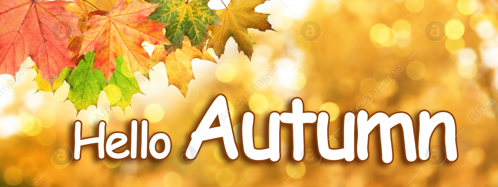 Image of Text Hello Autumn and beautiful leaves on blurred background, bokeh effect