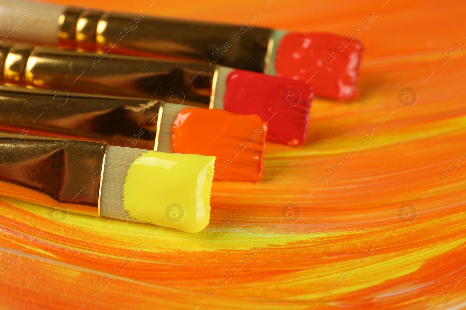 Photo of Set of different brushes on abstract colorful paint, closeup