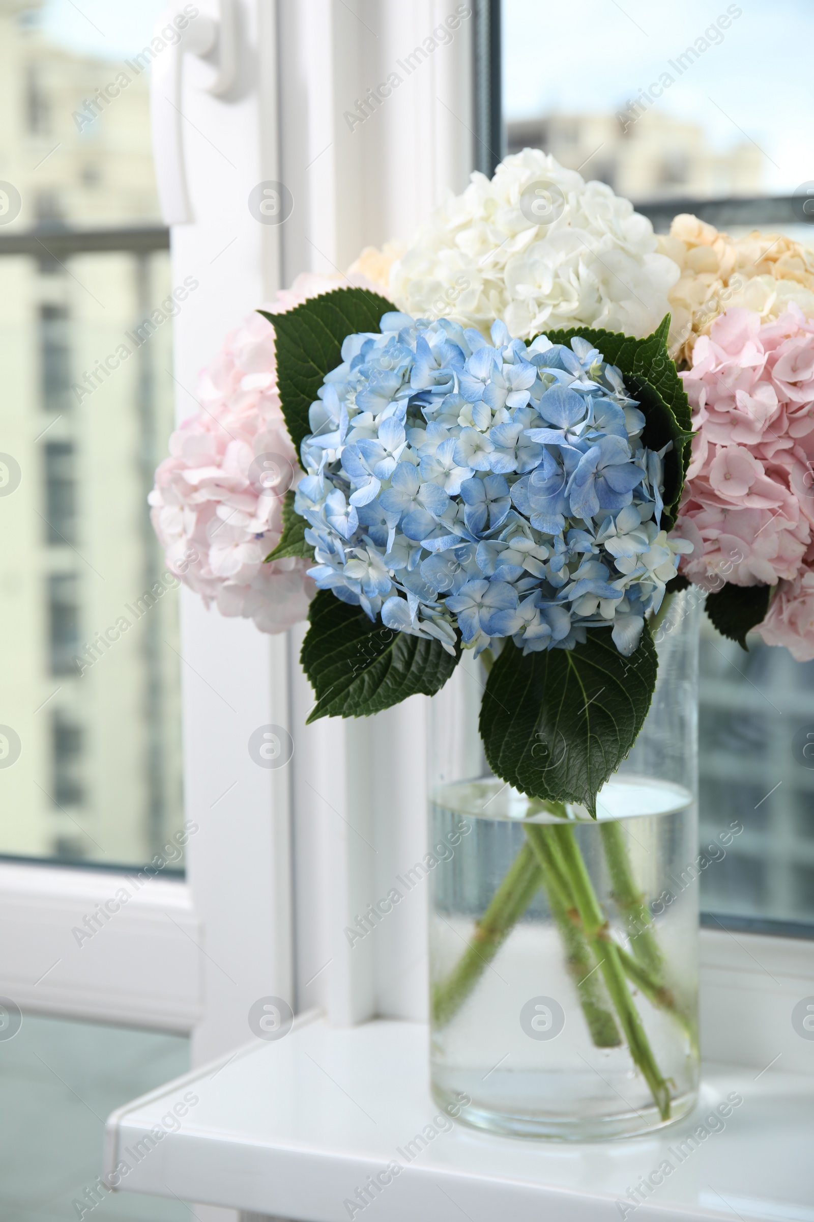 Photo of Beautiful hydrangea flowers in vase on windowsill indoors