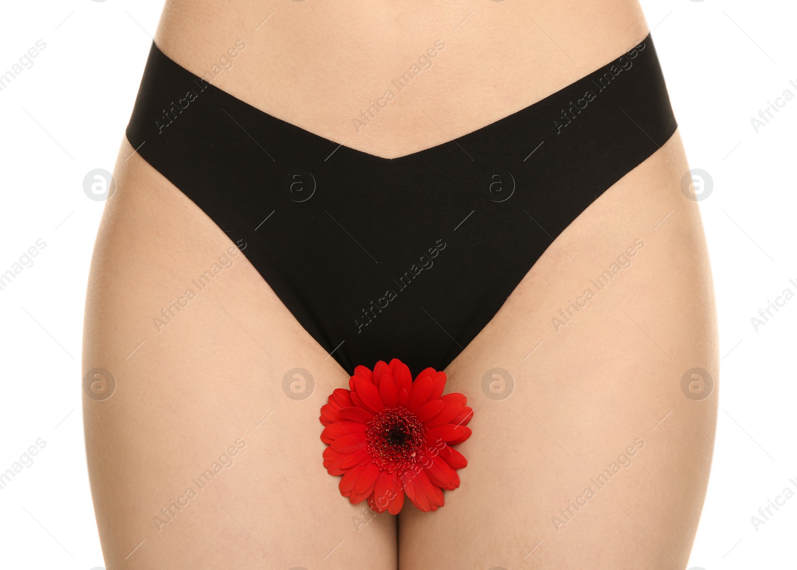 Photo of Gynecology. Woman in underwear with gerbera flower on white background, closeup