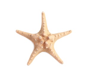 Photo of Beautiful sea star (starfish) isolated on white, top view