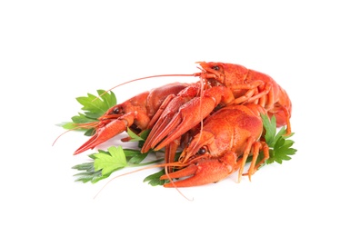 Photo of Delicious red boiled crayfishes with parsley isolated on white