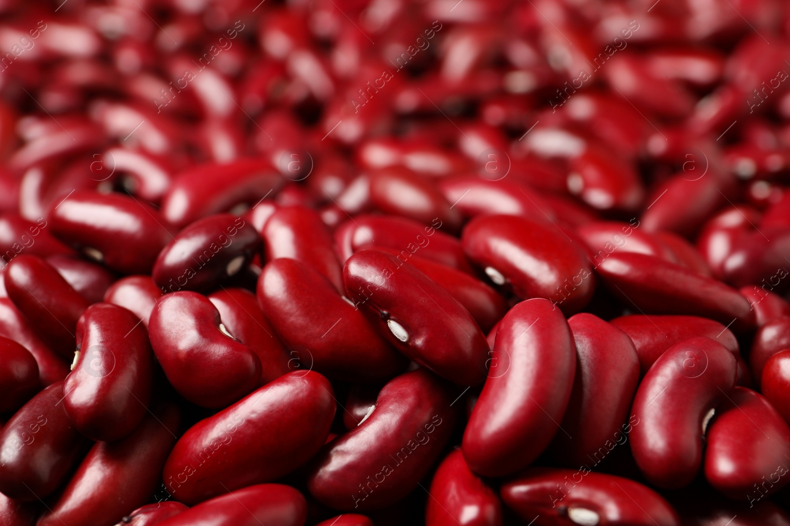 Photo of Closeup view of raw red kidney beans as background