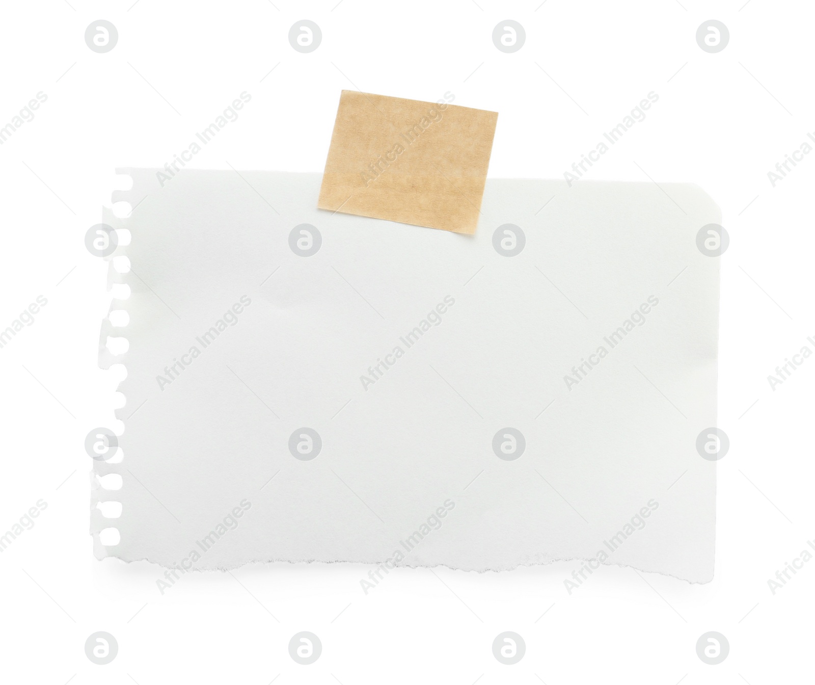 Photo of Piece of blank notebook sheet and adhesive tape isolated on white