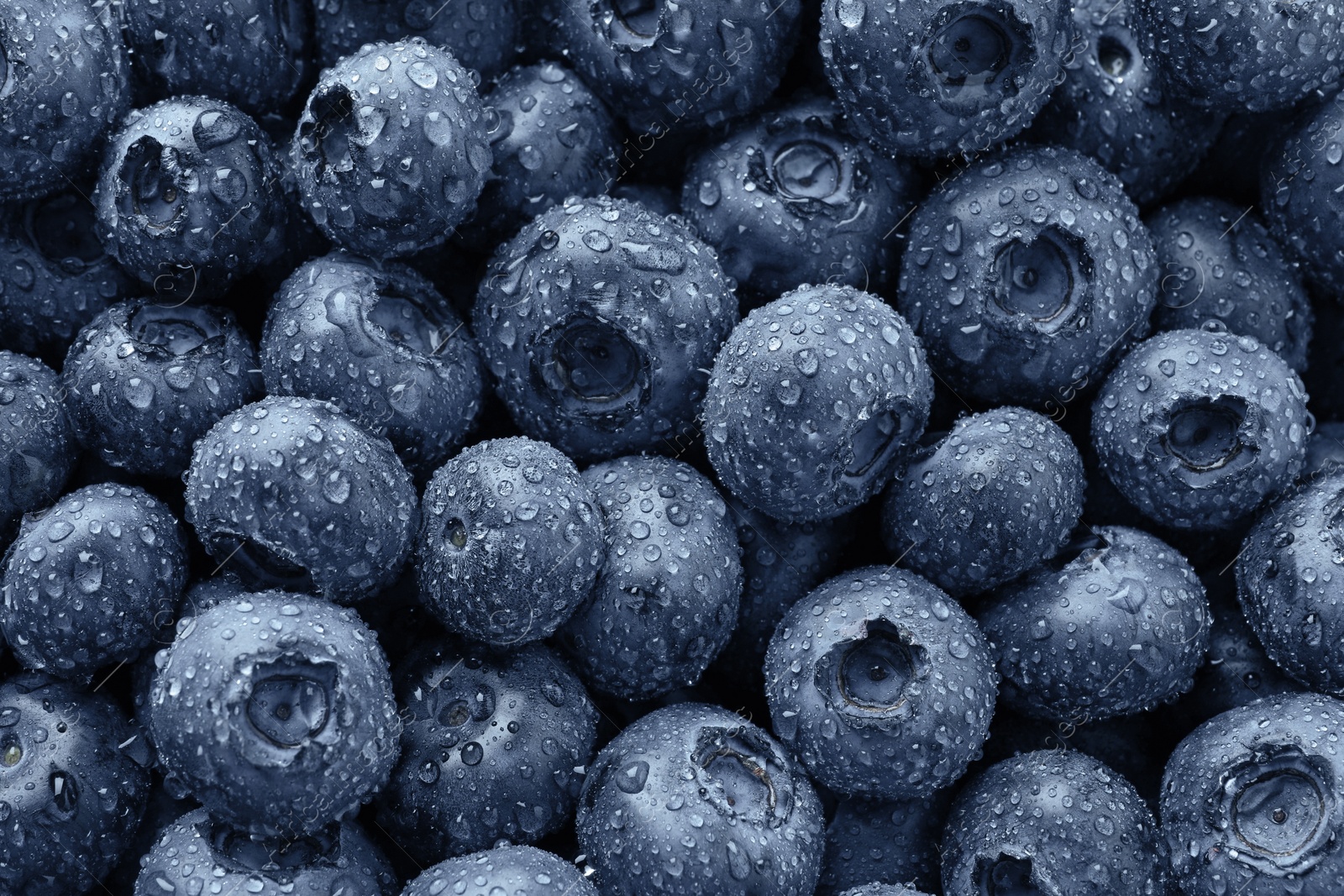 Photo of Wet fresh blueberries as background, top view