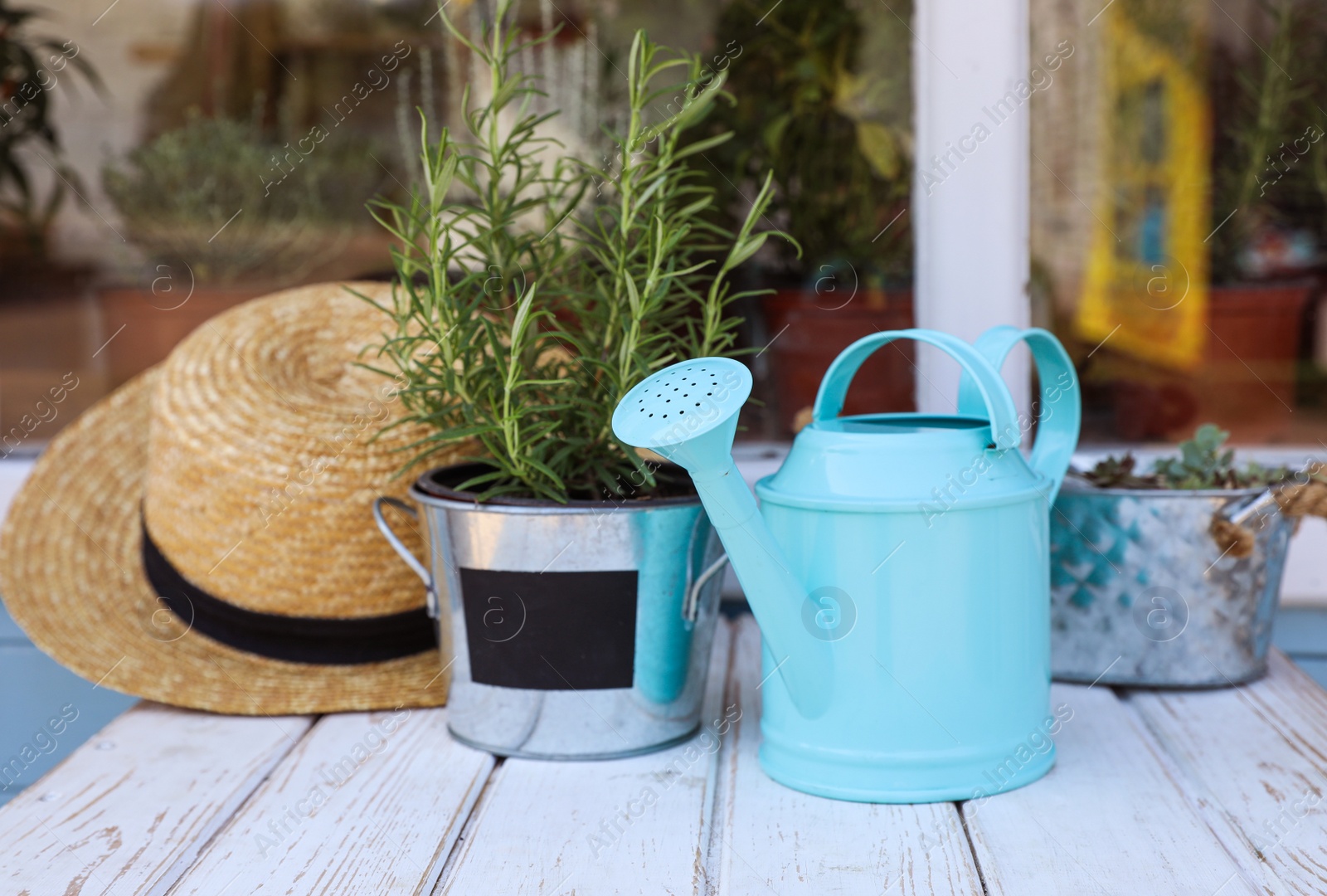 Photo of Potted plant, watering can and straw hat on white wooden table near window. Gardening tools