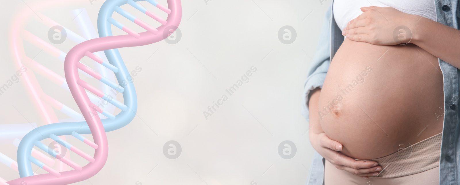 Image of Noninvasive prenatal testing (NIPT). Pregnant woman and illustration of DNA structure on white background, closeup. Banner design with space for text