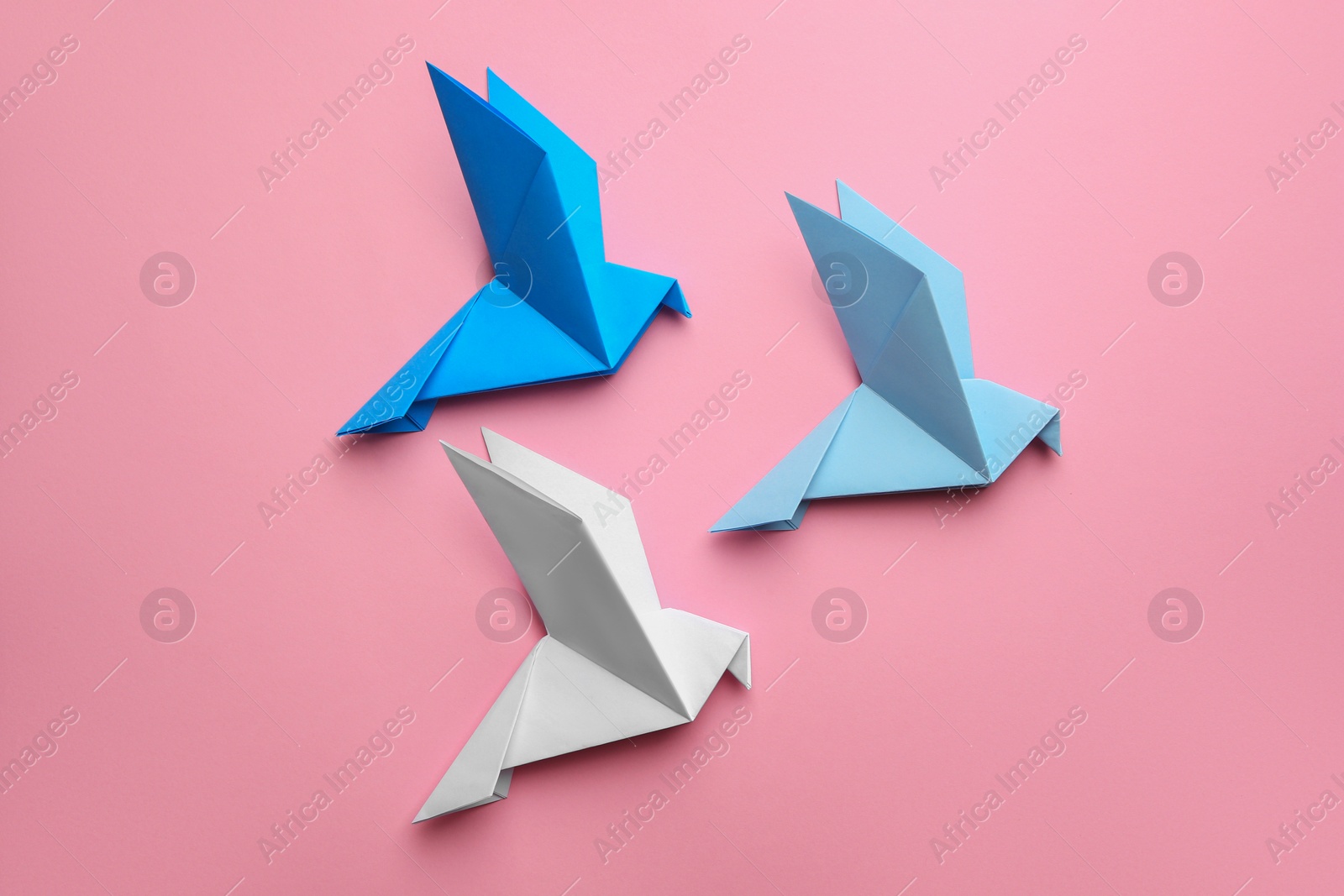 Photo of Beautiful colorful origami birds on pink background, flat lay