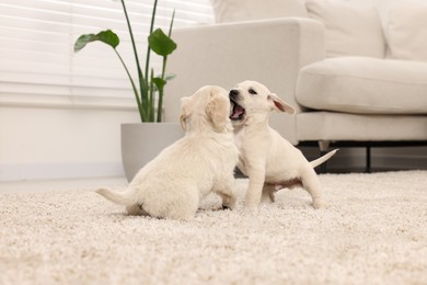 Photo of Cute little puppies playing on beige carpet at home