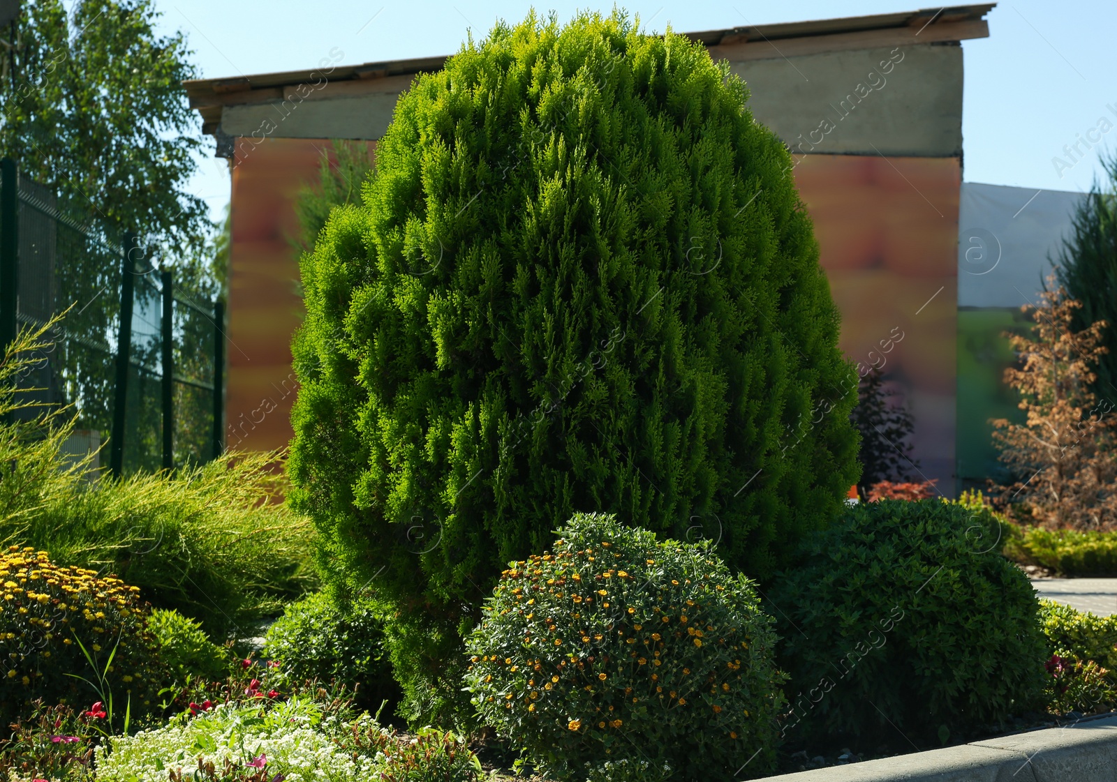 Photo of Picturesque view of beautiful green plants on sunny day